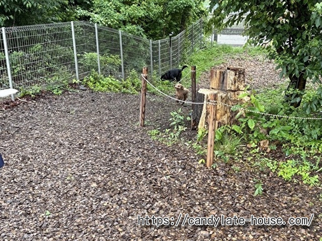 犬と泊まれる宿 紡ぐ結ぶ