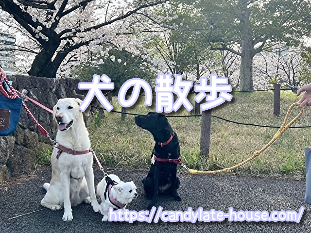 暑さ 寒さ