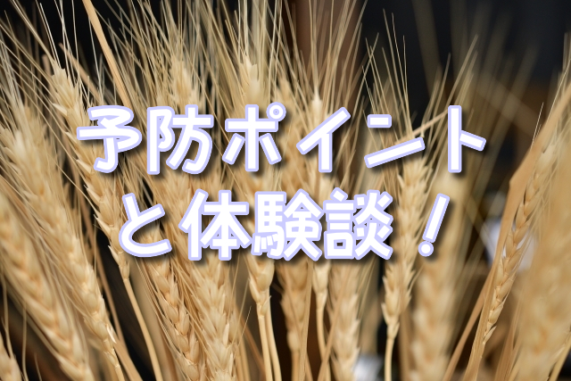 犬 歯茎