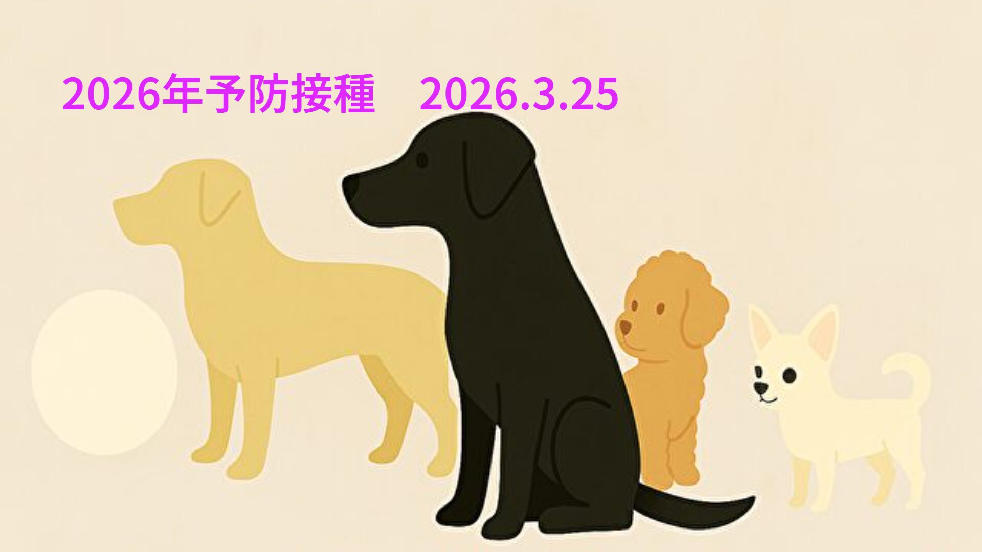 2026年予防接種　2026.3.25