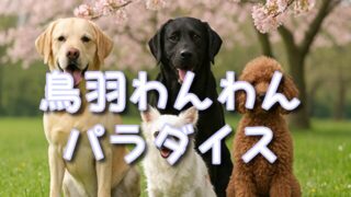 【2026最新】鳥羽わんわんパラダイスホテル宿泊記！大型犬含む4匹多頭飼いでの旅行術と雨天時のSA活用法